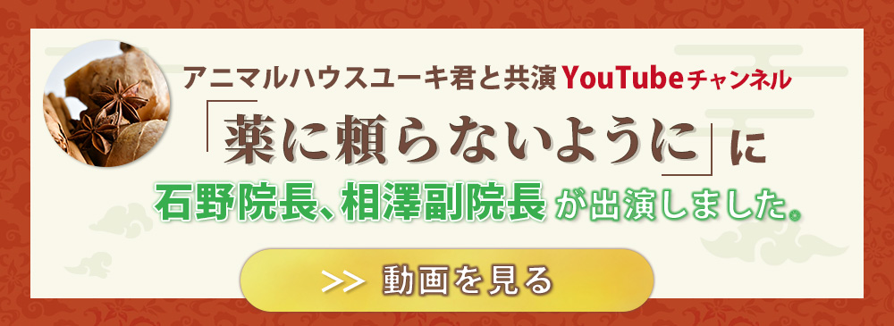 【アニマルハウスユーキ君と共演YouTubeチャンネル　薬に頼らない】に石野院長、相澤副院長が出演しました。